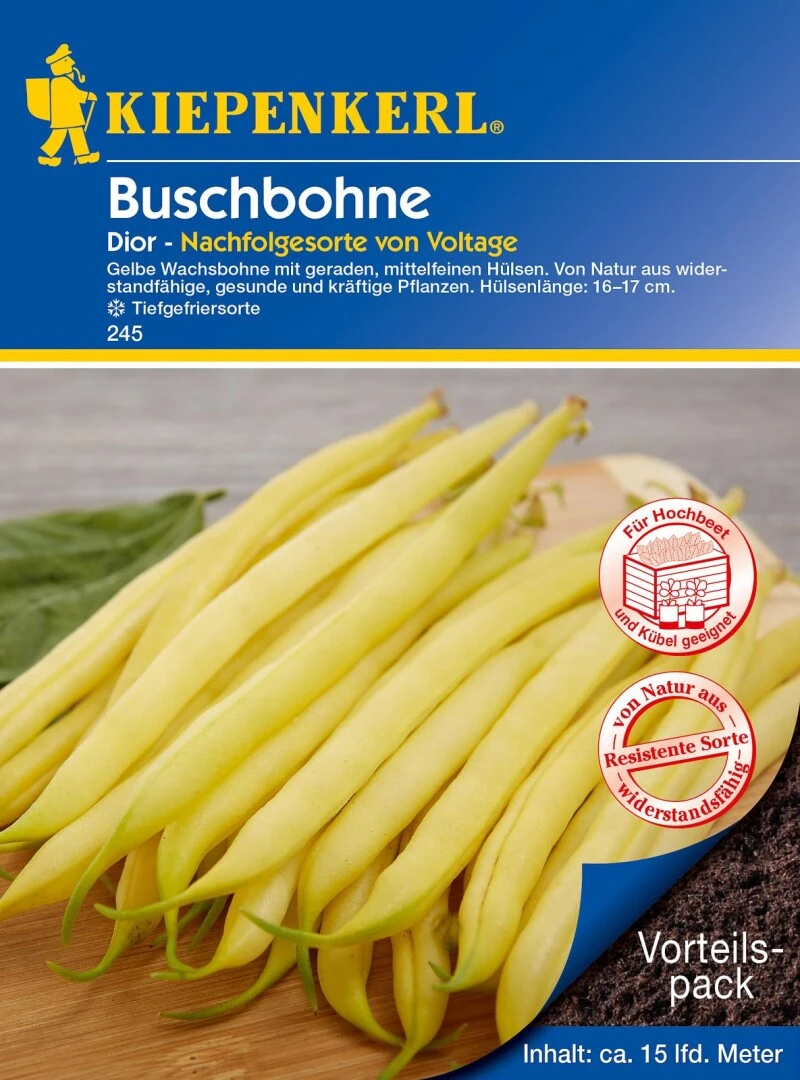 Buschbohne Dior (Vorteilspack), Inhalt: 120 Gr., Gelbe Wachsbohne, Widerstandfähig, Hülsenlänge: 16 - 17 Cm – Bild 2