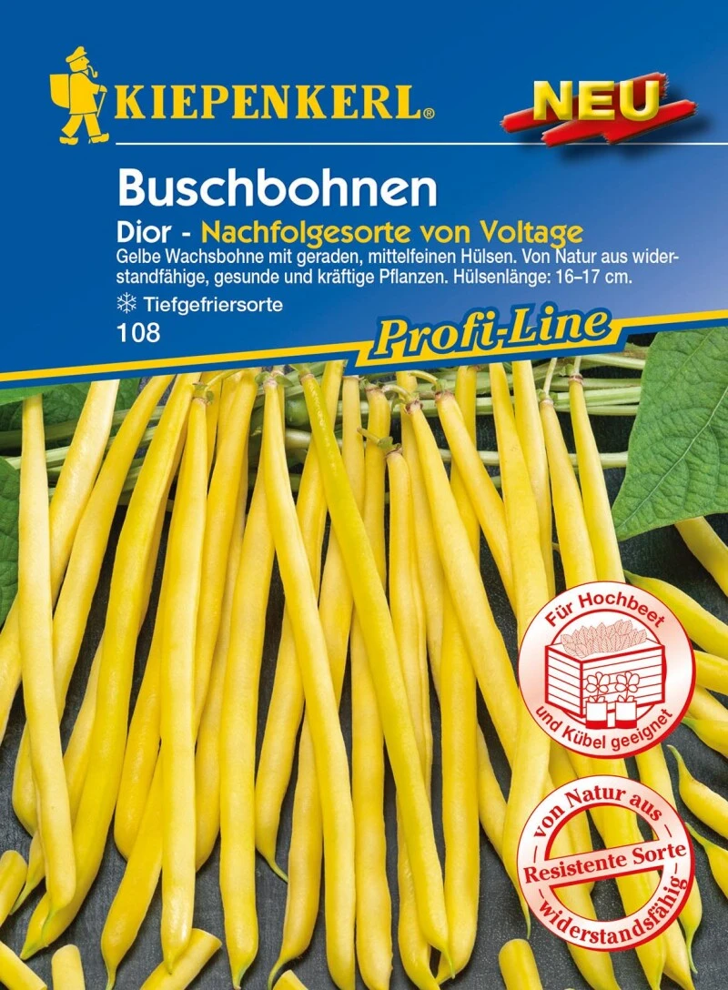 Buschbohne Dior | Gelbe Wachsbohne Mit Geraden Mittelfeinen Früchten | Wiederstandsfähig Und Robust