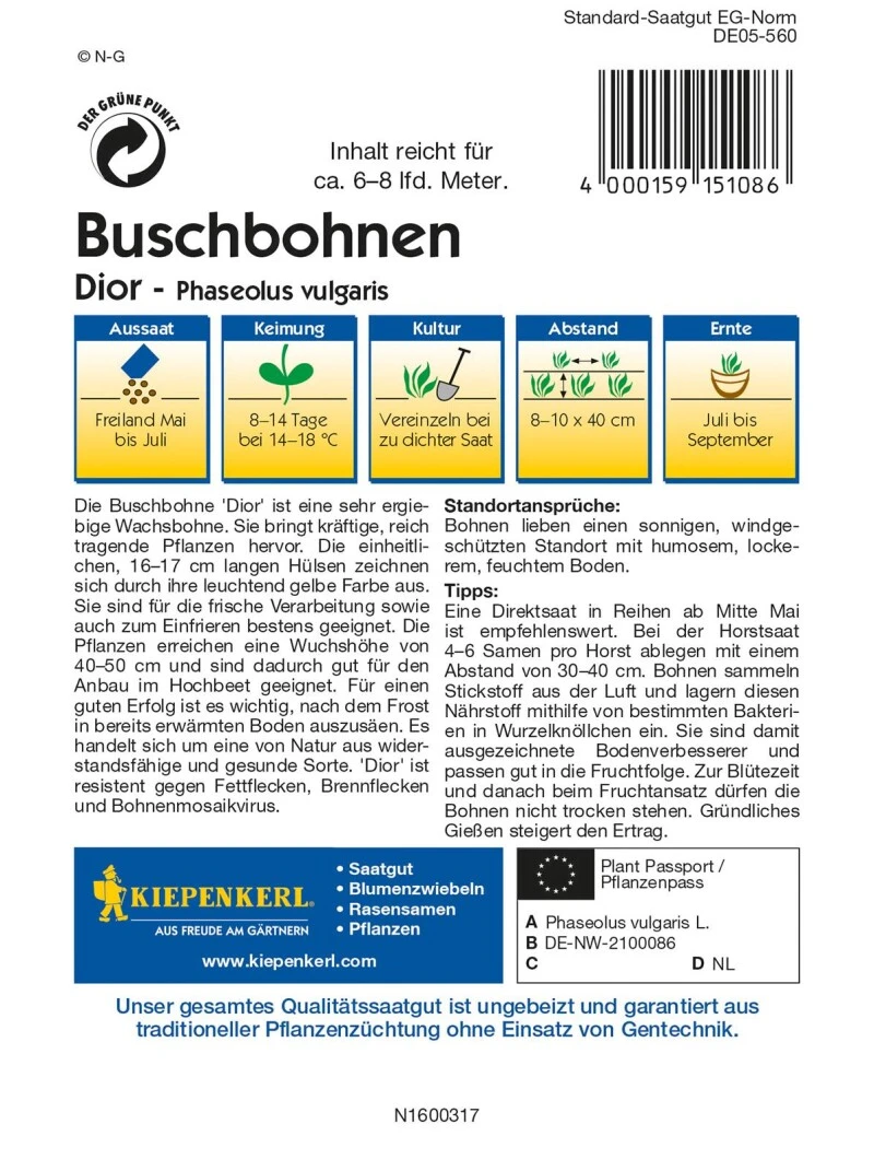 Buschbohne Dior | Gelbe Wachsbohne Mit Geraden Mittelfeinen Früchten | Wiederstandsfähig Und Robust – Bild 2