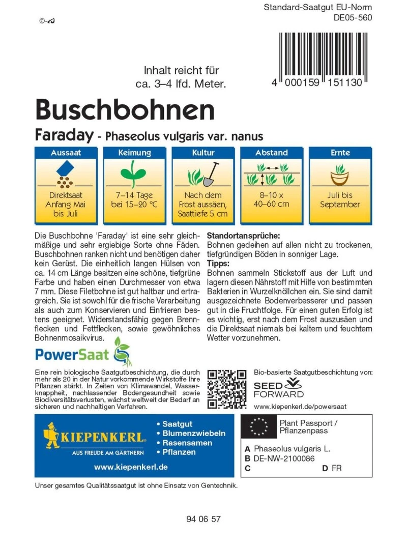 Buschbohne Faraday (PowerSaat) Sehr Ergiebige Filetbohne, Fadenlos