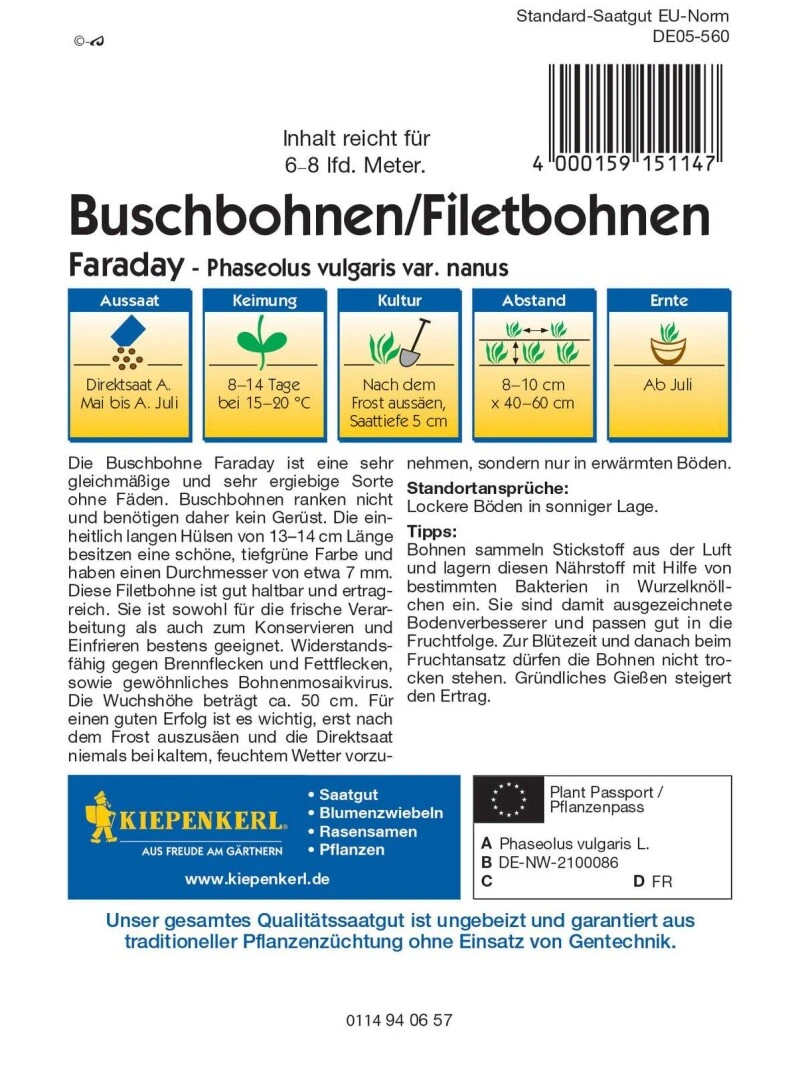 Buschbohne Faraday, Sehr Ergiebige Sorte Ohne Fäden, Gut Haltbar Und Ertragreich, Kiepenkerl – Bild 2