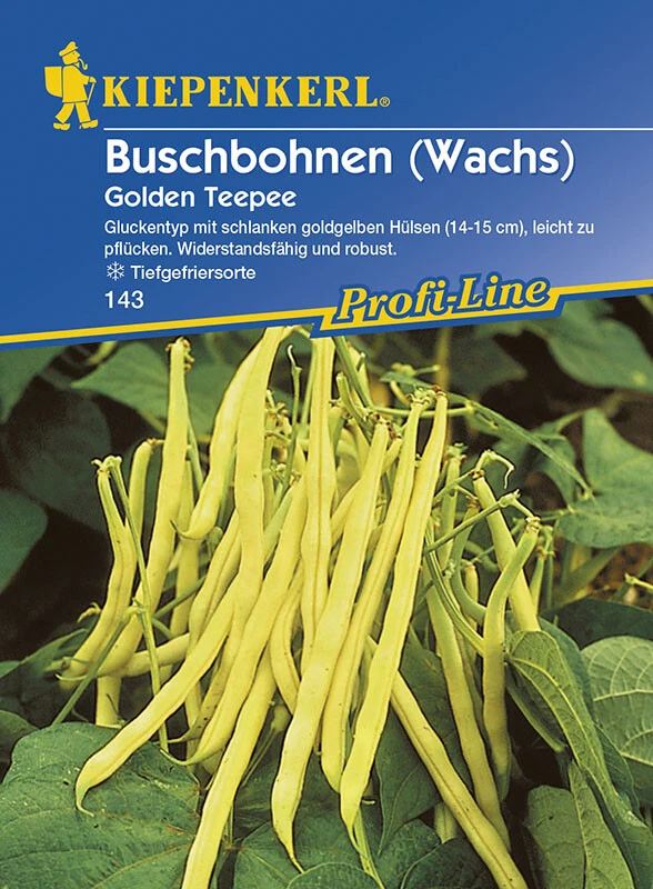 Buschbohnen Golden Teepee, Mittelfrühe Ertragreiche Wachs-Bohne Mit Goldgelben Und Knackigen Hülsen