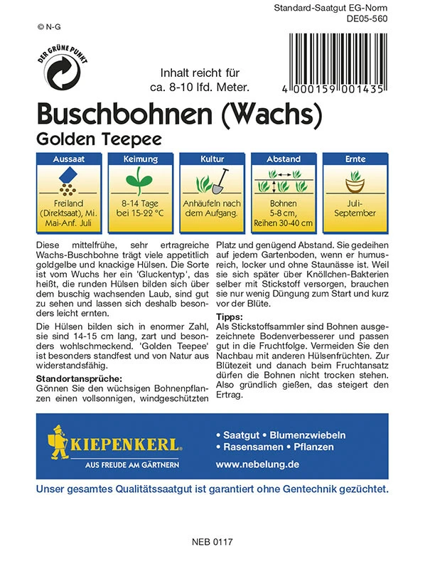 Buschbohnen Golden Teepee, Mittelfrühe Ertragreiche Wachs-Bohne Mit Goldgelben Und Knackigen Hülsen – Bild 2