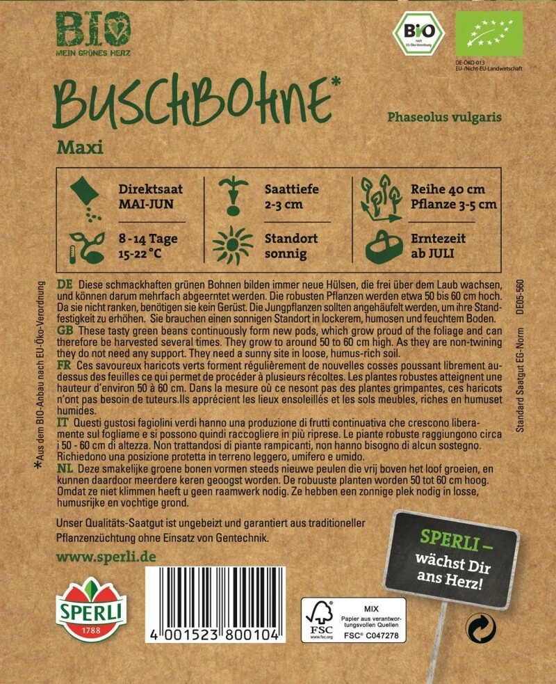 Buschbohne Grün Gluckentyp BIO – Bild 2