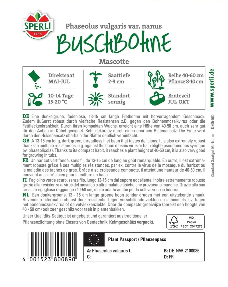Buschbohne Mascotte, überzeugt Als Filetbohne Mit Ihrem Hervorragendem Geschmack – Bild 3