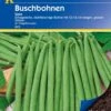 Buschbohne Saxa, Vorteilspack, Ertragreich & Fadenlos, Dickfleischige Tiefgefriersorte, Kiepenkerl