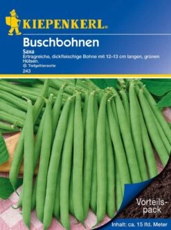 Buschbohne Saxa, Vorteilspack, Ertragreich & Fadenlos, Dickfleischige Tiefgefriersorte, Kiepenkerl