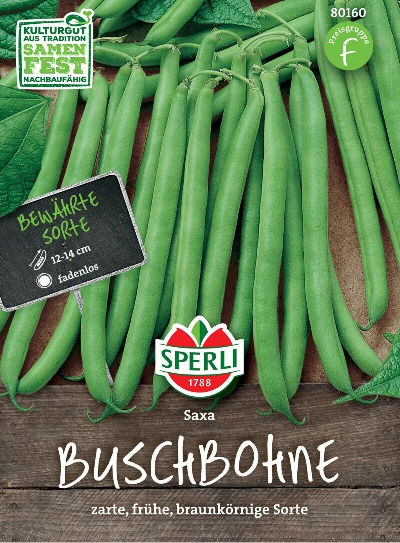 Buschbohne Saxa, Hülse Ist Zart Mittellang Und Vorwiegend Für Den Frischverbrauch Geeignet – Bild 3