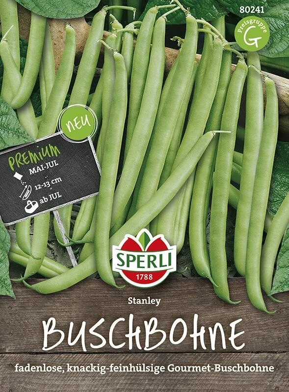 Buschbohne Stanley – Bild 2
