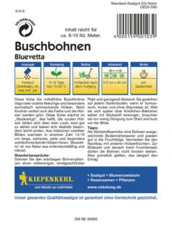 Buschbohnen Bluevetta | Violette Fleischige Aromatische Hülsen | Violetten Blüten