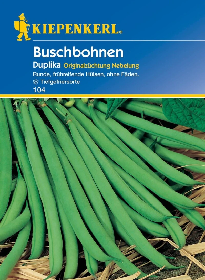 Buschbohnen Duplika, Bildet Runde Früh Reifende Hülsen Ohne Fäden Mit Weißem Korn – Bild 2