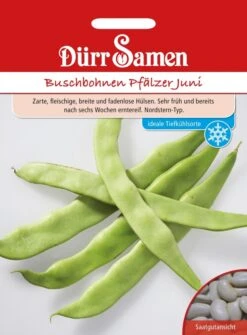 Buschbohnen Pfälzer Juni