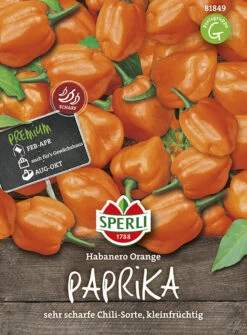 Chili Habanero Orange, Sehr Scharfe Chili-Sorte Mit Kleinen Orangefarbenen Früchten