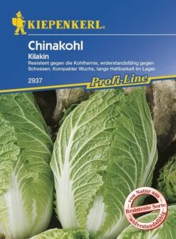 Chinakohl Kilakin Resistent