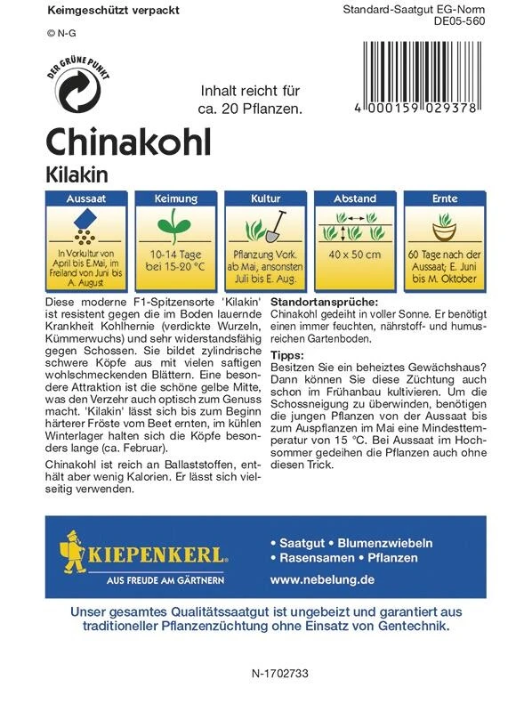 Chinakohl Kilakin Resistent – Bild 2