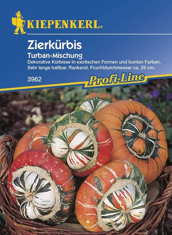 Cucurbita Pepo Zierkürbis Turbanmischung