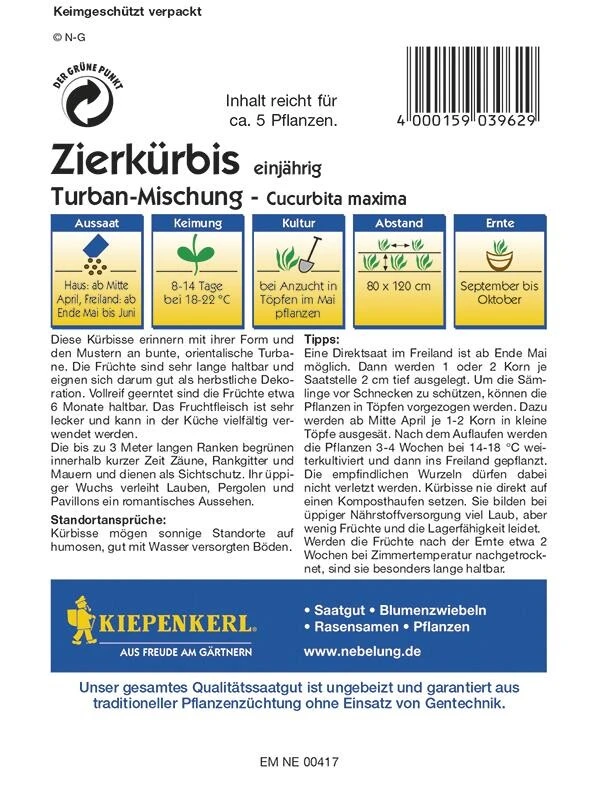Cucurbita Pepo Zierkürbis Turbanmischung – Bild 2