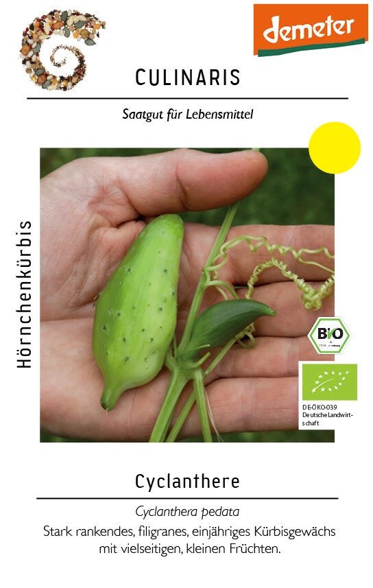 Cyclanthere, Hörnchenkürbis Roh Und Gekocht Zu Empfehlen