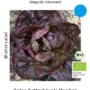 Wintersalat Roter Butterhäuptl Maribor,frühe Freilandpflanzung Möglich