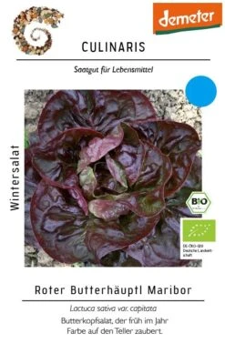 Wintersalat Roter Butterhäuptl Maribor,frühe Freilandpflanzung Möglich