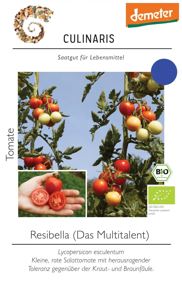 Freilandtomate Resibella Salattomate Besonders Resistent