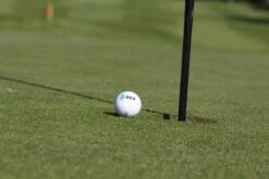 DSV-Rasensamen 4.1.7 Golfrasen Grün Nachsaat 10kg