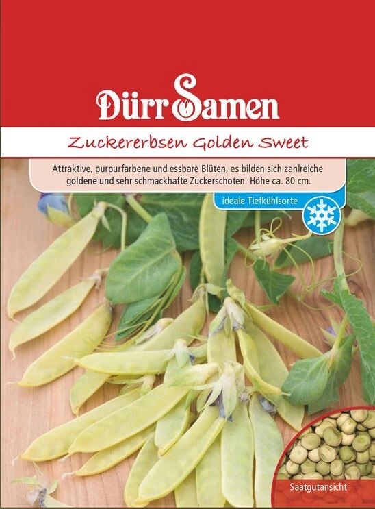 Zuckererbsen Golden Sweet – Bild 2