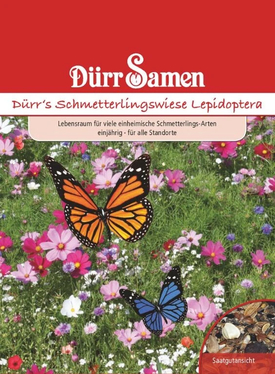 Dürr's Schmetterlingswiese Lepidoptera, Einjährig, 50cm, Für Ca. 6m² – Bild 2