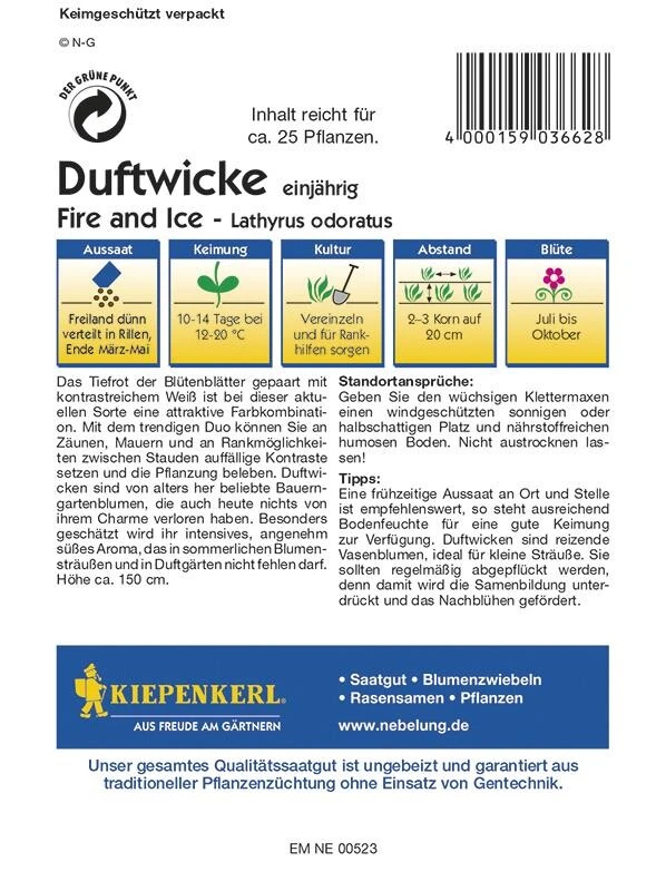 Duftwicken Fire And Ice |attraktives Duett An Zäunen, Gittern Oder Als Schnittblume