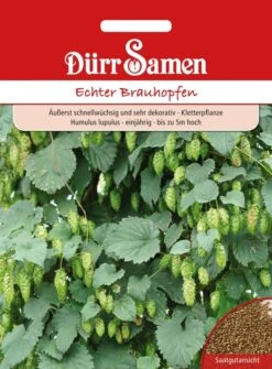Echter Brauhopfen Humulus Lupulus