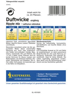 Edelwicken Ripple Mix Gepunktete Blüten Lathyrus Odoratus