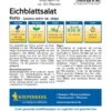 Eichblattsalat Kyrio, Ertragreicher Grüner Pflücksalat, Resistent, Für Die Ganze Freilandsaison