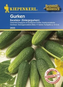 Einlegegurke Excelsior