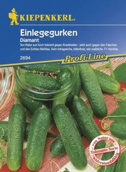 Einlegegurken Traubengurken Diamant Parthenocarp Tolerant