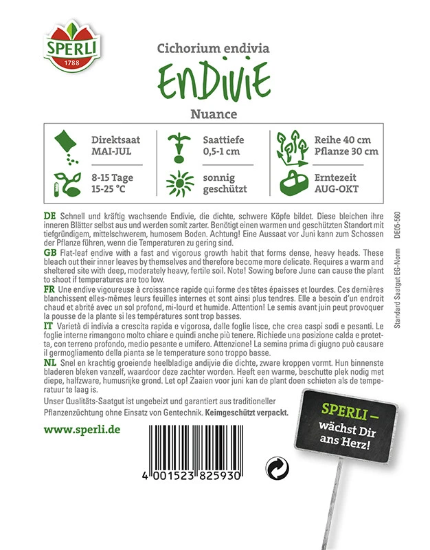 Endivie Nuance, Wächst Schnell Und Kräftig, Selbst Ausbleichende Sorte Daher Zahrte Innere Blätter