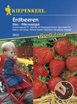 Erdbeeren Elan F1 Pillensaat, Naschobst Für Die Ernte Bis Zum Frost, Immertragend