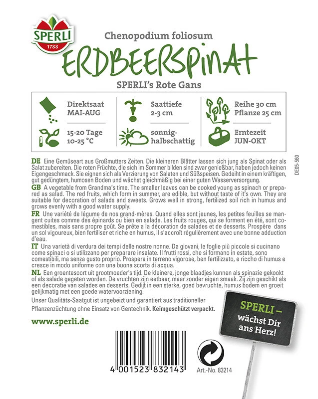 Erdbeerspinat SPERLING`s Rote Gans – Bild 2