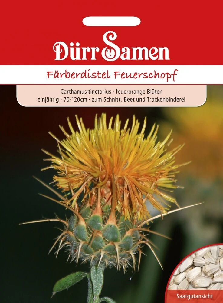 Färberdistel Feuerschopf Carthamus Tinctorius