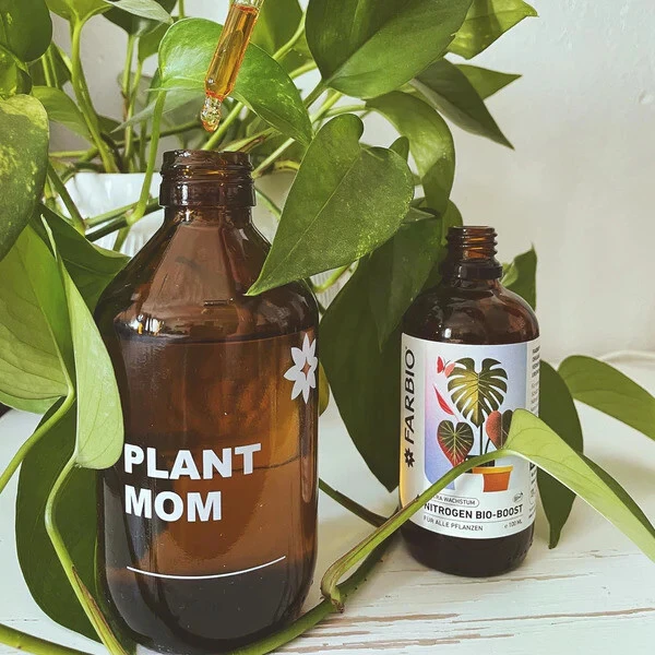 FARBIO® 250ml Sprühflasche Aus Glas – Home Is Where Your Plants Are – Bild 6