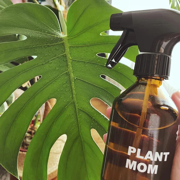 FARBIO® 250ml Sprühflasche Aus Glas – Plant Mom – Bild 7