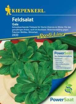 Feldsalat Gala PowerSaat Resistente Sorte