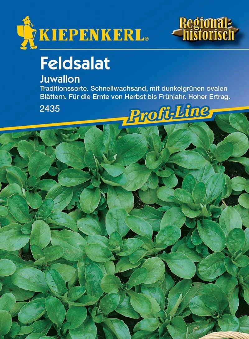 Feldsalat Juwallon, Schnellwüchsige Bewährte Züchtung Mit Robustem Leuchtend Dunkelgrünen Blatt, Hoher Ertrag – Bild 2
