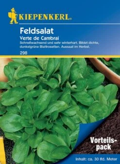 Feldsalat Verte De Cambrai (Vorteilspack), Inhalt: 20 Gr, Herbst Und Wintersorte