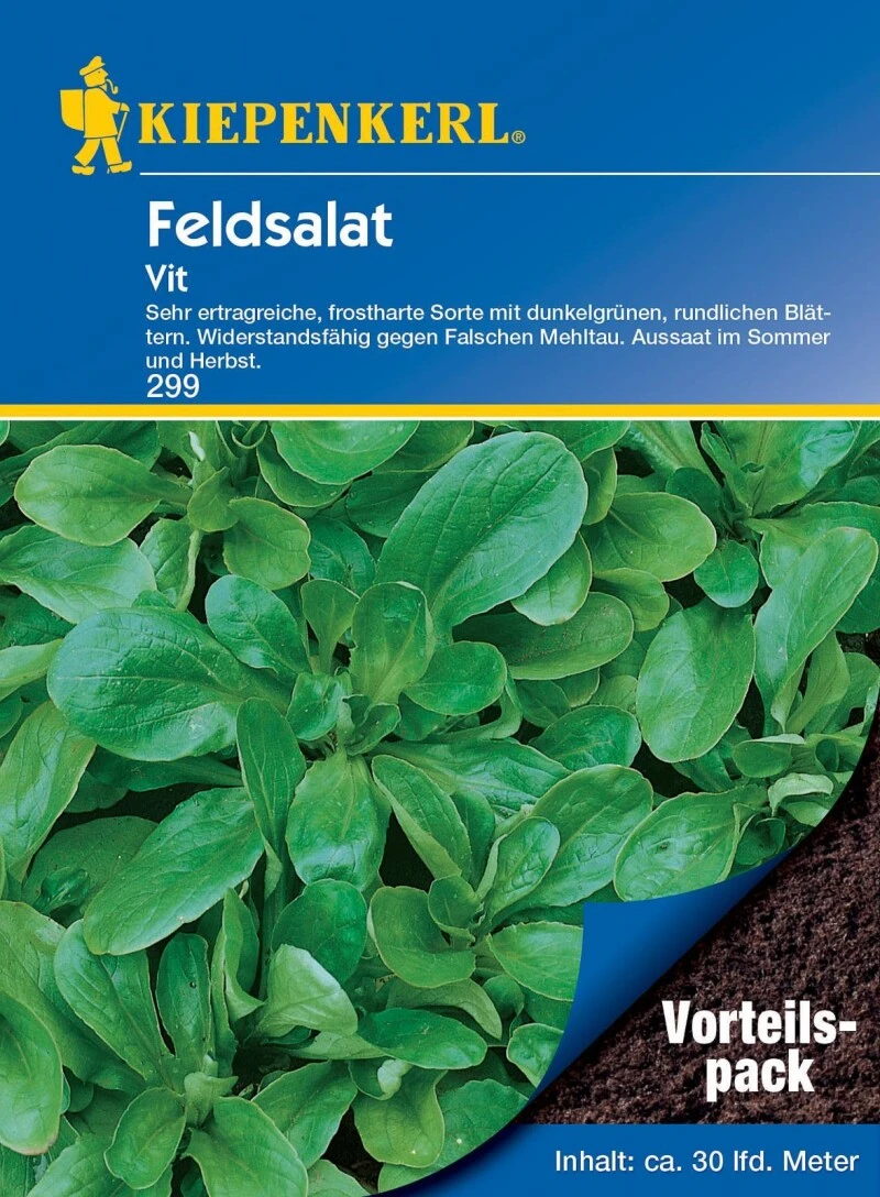 Feldsalat Vit (Vorteilspack), Inhalt: 20gr., Ertragreiche Robuste Schnellwüchsige Feldsalat-Sorte, Widerstandsfähig, Für Freiland Und Gewächshaus – Bild 2