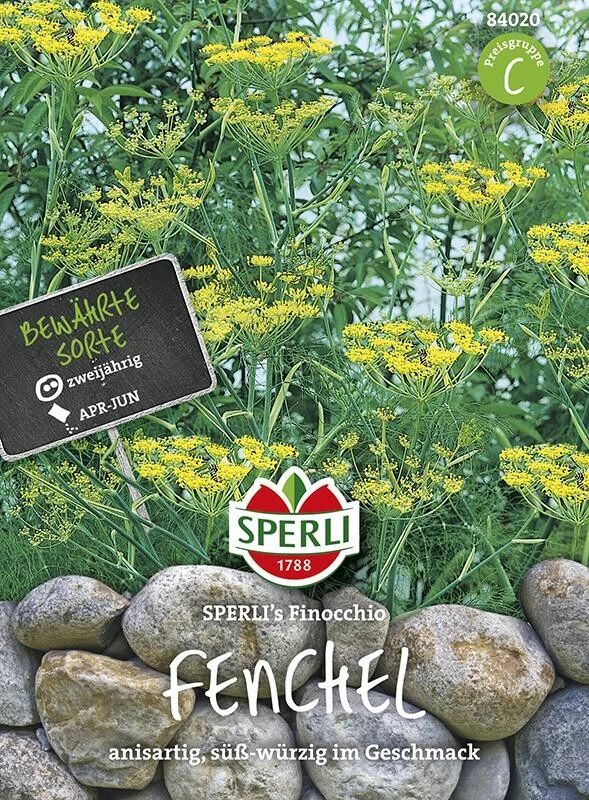 Fenchel SPERLING`s Finocchio, Zweijährige Gewürz Und Heilpflanze, Süß-würziger Geschmack (anisartig) – Bild 2