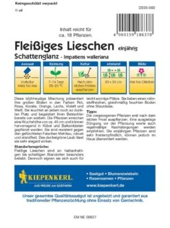 Fleißiges Lieschen Schattenglanz, Farbenfrohe Leuchtende Mischung Für Schattige Plätze, Resistent Gegen Falschen Mehltau, Wuchshöhe Bis 40 Cm