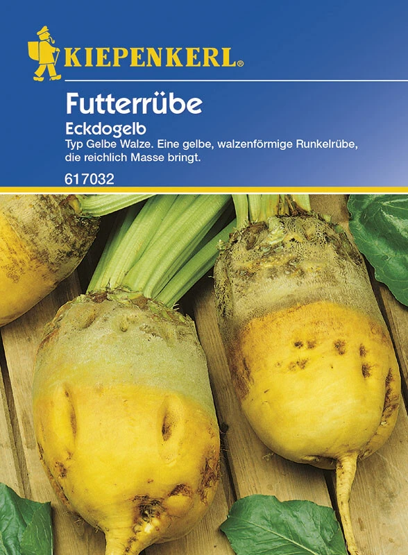 Futterrüben Eckdogelb Portion 15g – Bild 2