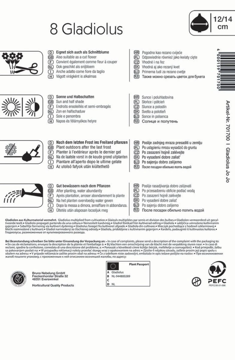 Großblumige Gladiole Jo Jo, 8 Stück Blumenzwiebeln Von Kiepenkerl – Bild 2