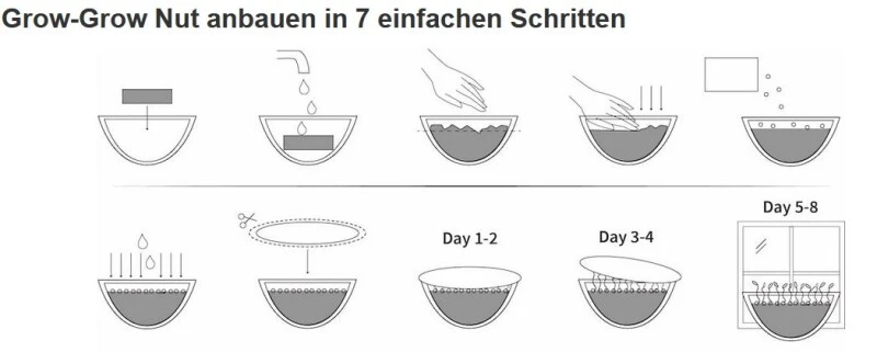 Grow-Grow Nut, Starterpaket, 1x Kokosnuss-Schale + 3x Bio-Saatgut (Brokkoli, Radieschen & Rucola) + 3x Kokoserde-Ziegel – Bild 7