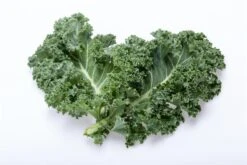 Grünkohl Halbhoher Grüner Krauser MAXIPACK 25g